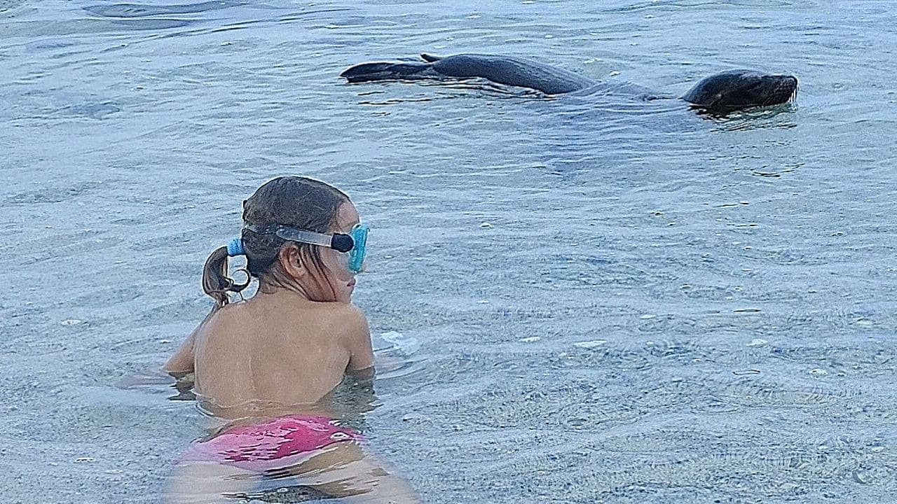 Cruising the Galapagos