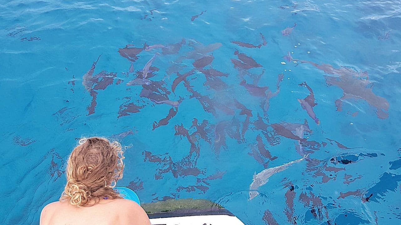 Fakarava South Pass French Polynesia