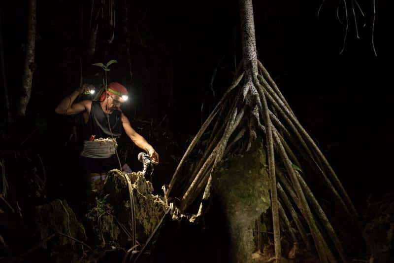 coconut crab hunting makatea