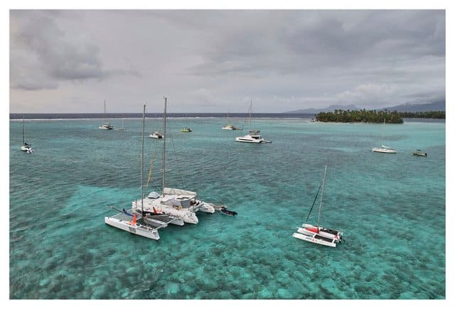 default Grainger Panther 38 for sale in Tahiti