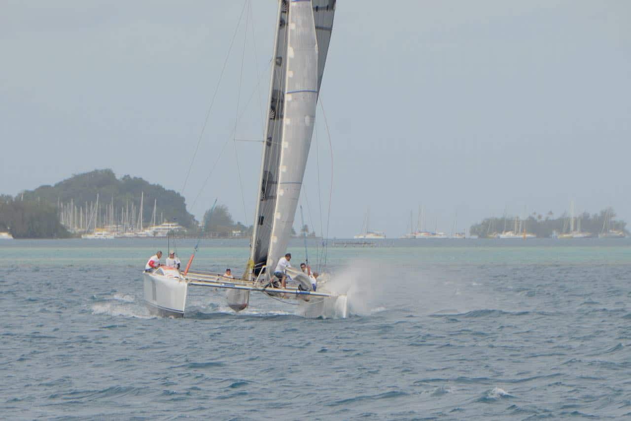 TPR 2021 (17) Grainger panther 38 for sale in Tahiti