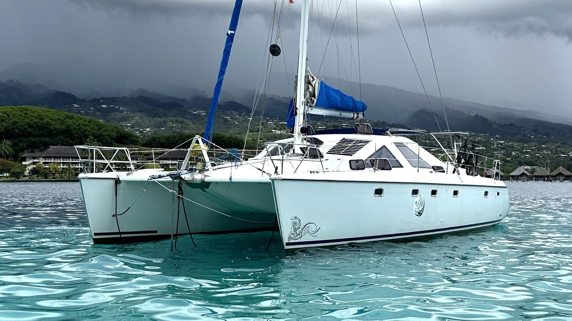 Privilege 42 - Dringuelle