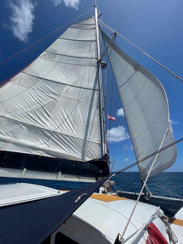 Tartaruga_45ft_05