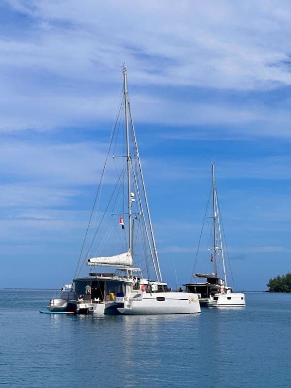 Neel 51 in Polynesia 10 Neel 51 in Tahiti