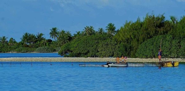 Toau Tuamotus atoll Toau Tuamotus Atoll anse Amyot
