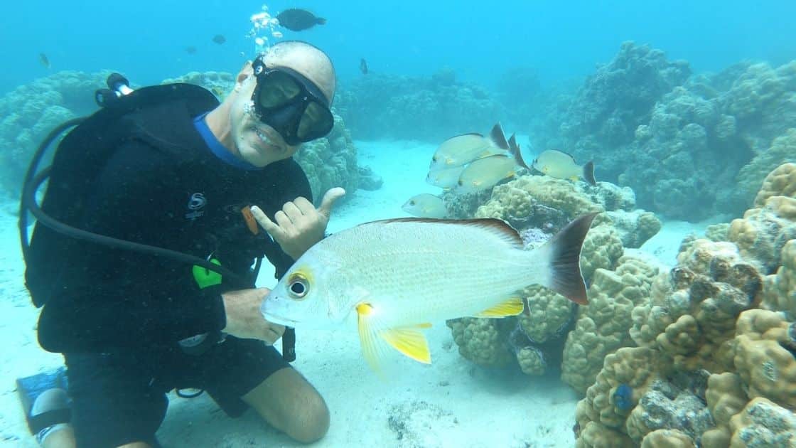 Diving from your catamaran in French Polynesia