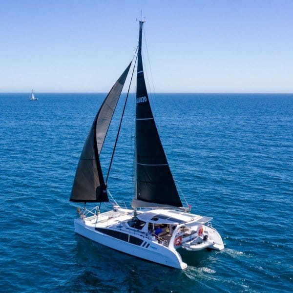 005 Seawind 1260 2020 OASIS
