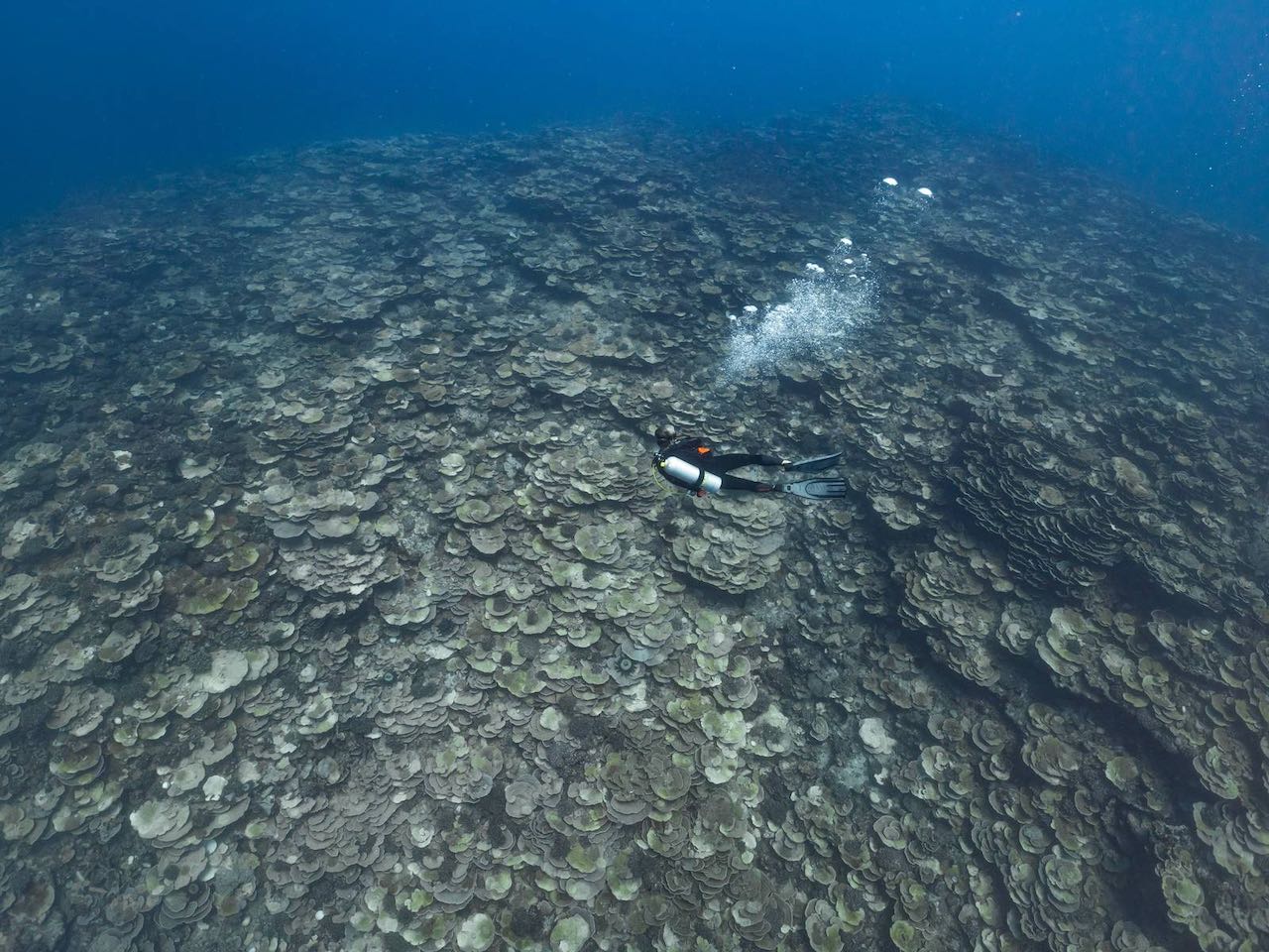 Diving in remote locations requires preparation