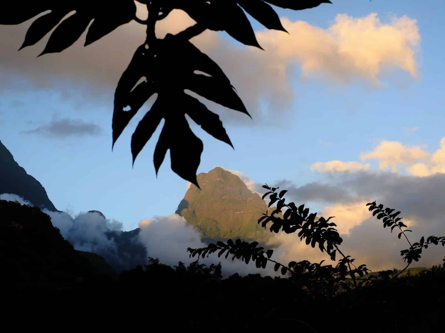 A hike in the mountains of Tahiti