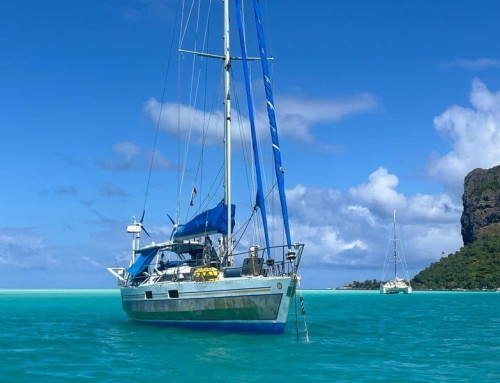 Ovni 43 | 1993 | Baisse de prix 139,000€