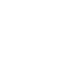 autonomous