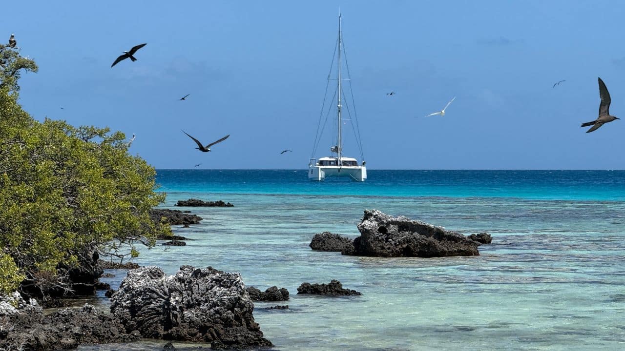 feature image size (41) Nautitech 40 Open for sale in Tahiti